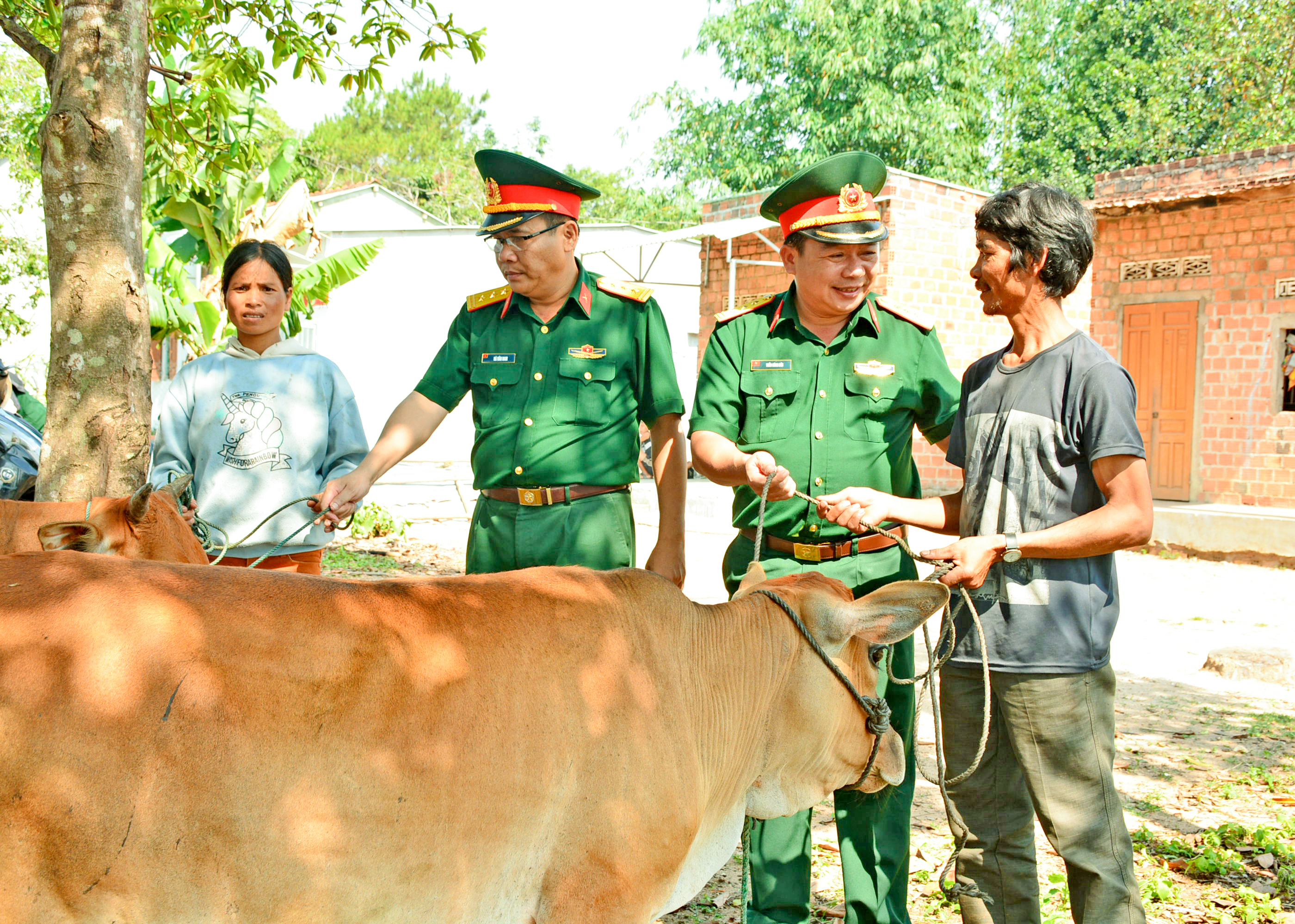 Hồi âm loạt bài: Xây 